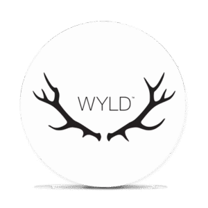 Logo 2