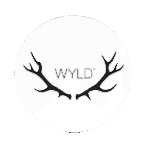 Logo 2