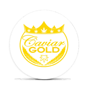 Logo 4