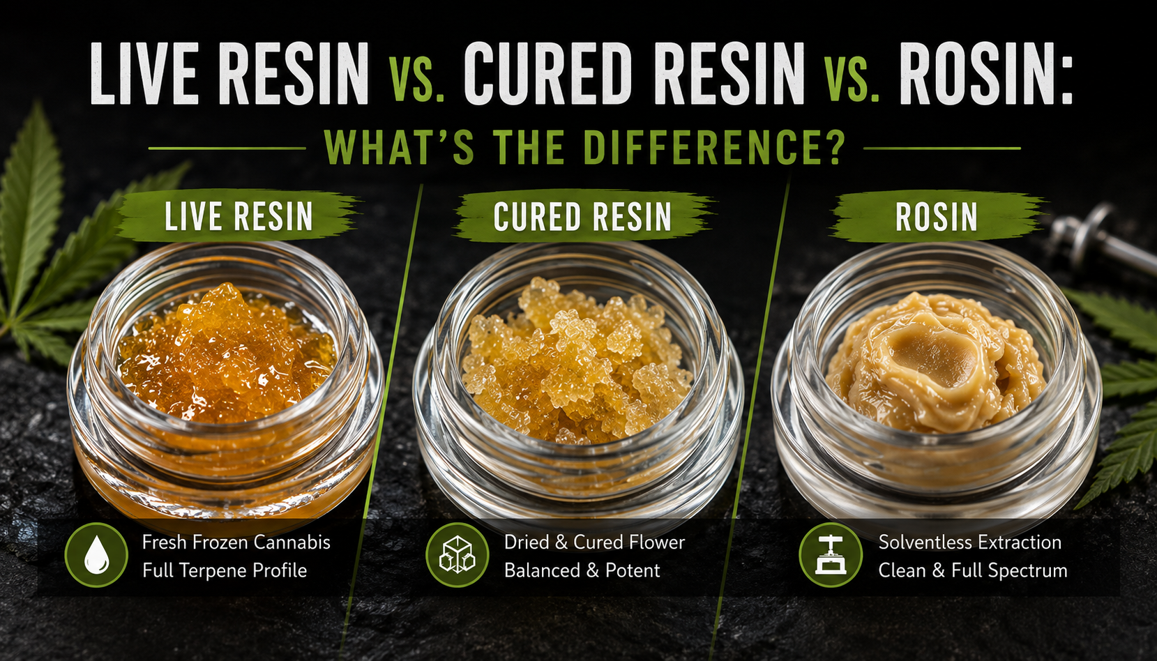 Live resin vs cured resin vs rosin cannabis concentrates
